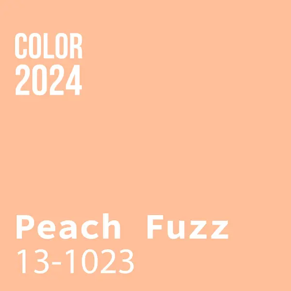 Πρότυπο Μοντέρνο Χρώμα Του Έτους 2024 Peach Fuzz — Διανυσματικό Αρχείο