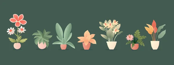 五颜六色的家庭植物在壶无缝集 在花盆里放满了可爱的植物的病媒 背景与室内植物手绘风格 — 图库矢量图片