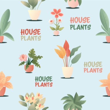 Esrarlı, pürüzsüz desenli renkli ev bitkisi. Çiçek saksısında sevimli bitkiler olan sonsuz bir arka plan. Ev bitkilerinin el yapımı olduğu bir arkaplan.
