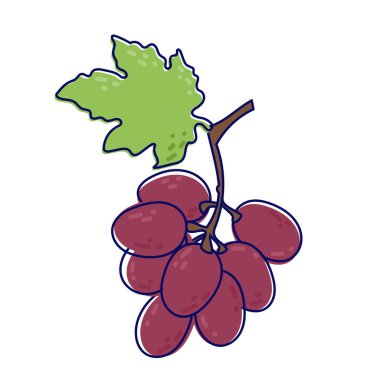 Beyaz arka planda sapı ve yaprağı olan mor üzümler. Vektör illüstrasyon çizimi