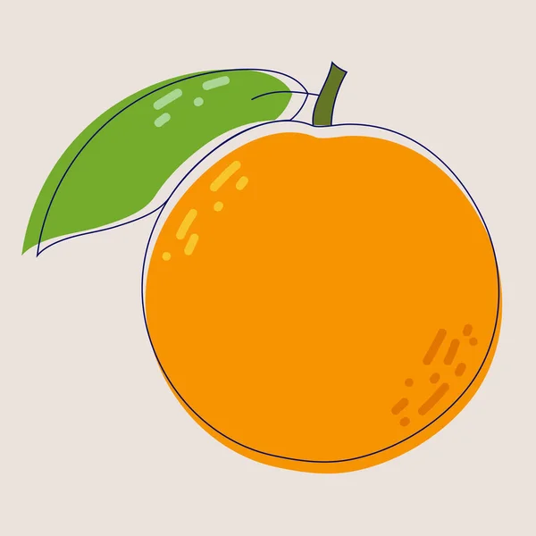 Frutto Fresco Arancia Isolato Fondo Bianco Mandarino Frutta Biologica Stile — Vettoriale Stock