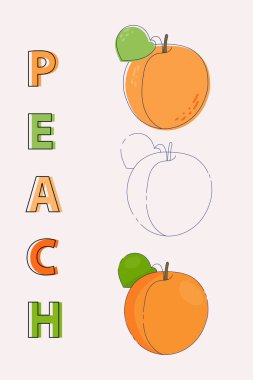 El yapımı şeftali içeren yaz şeftalileri. Eğlenceli, renkli ve parlak arka planlı yaz için yeni bir tasarım. Dijital baskı, dekorasyon veya nesneler üzerine baskı için idealdir. Vektör illüstrasyonu.