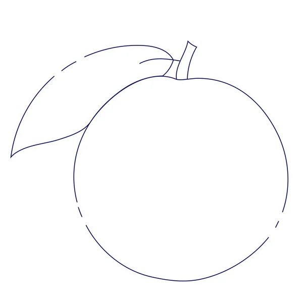 Friss Narancs Gyümölcs Izolált Fehér Alapon Tangerine Organikus Gyümölcs Doodle — Stock Vector