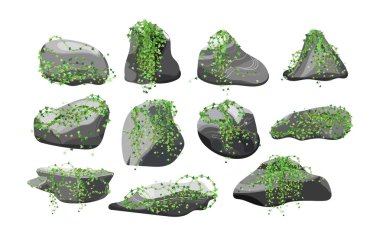 Kıyı çakıl taşları, çakıl taşları, çakıl taşları, mineraller ve jeolojik oluşumlar. Çeşitli şekil ve bitkilerden taşlar koleksiyonu. Kaya parçaları, kaya parçaları ve yapı malzemeleri..