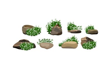 Kıyı çakıl taşları, çakıl taşları, çakıl taşları, mineraller ve jeolojik oluşumlar. Çeşitli şekil ve bitkilerden taşlar koleksiyonu. Kaya parçaları, kaya parçaları ve yapı malzemeleri..