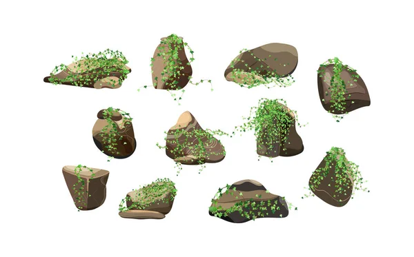 海岸小石 鉱物や地質形成 さまざまな形の石のコレクション 岩の破片 岩や建築材料 — ストックベクタ
