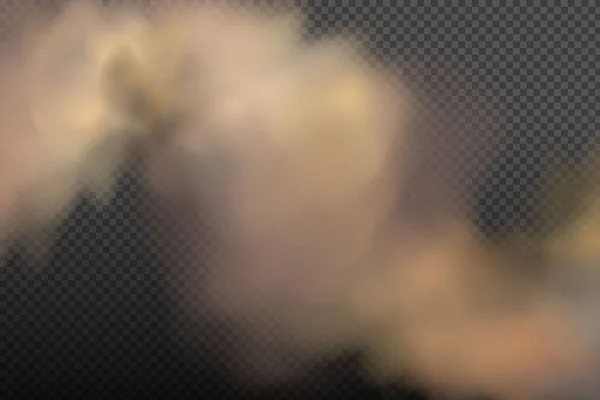 Реалистичный Вектор Изолирован Прозрачном Фоне Пылевое Облако Частицами Грязью Сигаретным — стоковый вектор