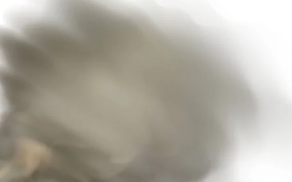 Ρεαλιστικό Διάνυσμα Απομονωμένο Διαφανές Φόντο Σύννεφο Σκόνης Σωματίδια Χώμα Καπνό — Διανυσματικό Αρχείο