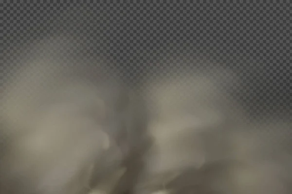 Vecteur Réaliste Isolé Sur Fond Transparent Nuage Poussière Avec Particules — Image vectorielle