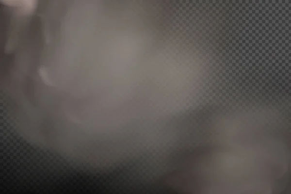 Vecteur Réaliste Isolé Sur Fond Transparent Nuage Poussière Avec Particules — Image vectorielle