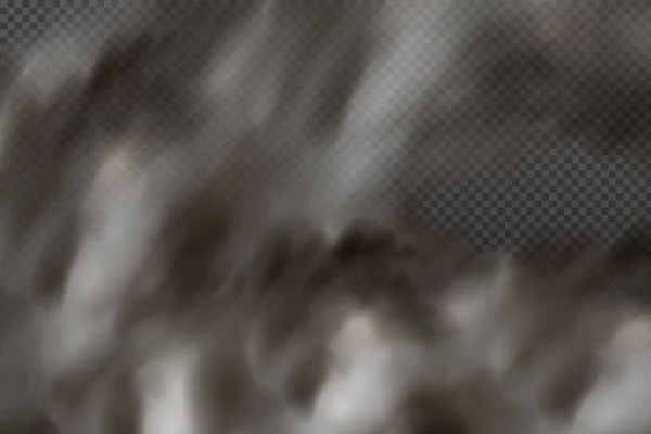 Ρεαλιστικό Διάνυσμα Απομονωμένο Διαφανές Φόντο Σύννεφο Σκόνης Σωματίδια Ρύπους Καπνό — Διανυσματικό Αρχείο