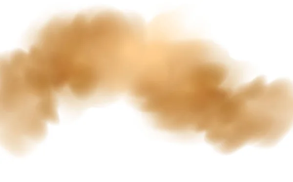 Vettore Realistico Isolato Fondo Trasparente Nube Polvere Con Particelle Sporco — Vettoriale Stock