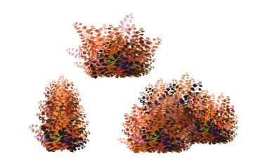 Realistic garden shrub, seasonal bush, boxwood, tree crown bush foliage.Ornamental green plant in the form of a hedge.For decorate of a park, a garden or a green fence.