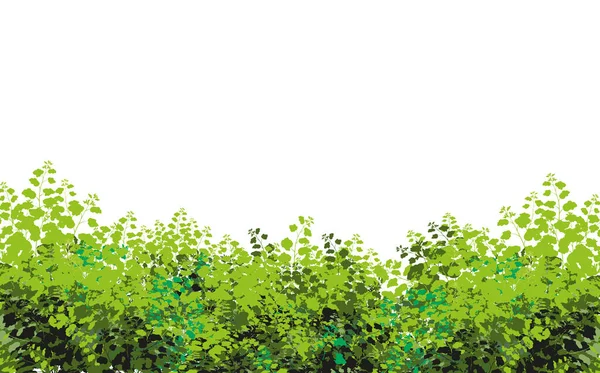 Realistic Garden Shrub Seasonal Bush Boxwood Tree Crown Bush Foliage — Vector de stock