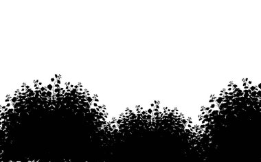 Gerçekçi bahçe çalı, mevsimlik çalı, ağaç çalı yaprağı. Bir çit, bahçe ya da çit süslemek için çit şeklinde süslü siyah bitki..