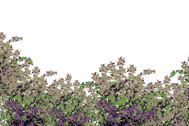 Realistic garden shrub, seasonal bush, boxwood, tree crown bush foliage.Ornamental green plant in the form of a hedge.For decorate of a park, a garden or a green fence.