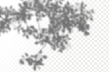 Gölgelerin örtülmesinin etkisi. Şeffaf kareli arka planda gerçekçi tropikal yapraklar ve dallar. Doğal ışık düzeni.