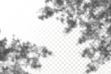 The effect of overlaying shadows. Realistic shadow tropical leaves and branches on transparent checkered background.Natural light layout.