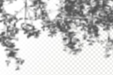 The effect of overlaying shadows. Realistic shadow tropical leaves and branches on transparent checkered background.Natural light layout.