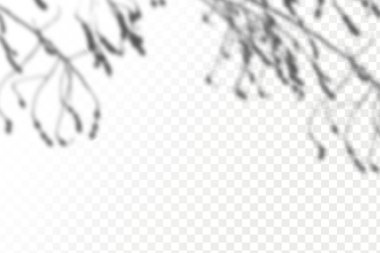 Gölgelerin etkisi. Doğal ışık düzeni. Şeffaf kareli arka planda gerçekçi tropik yapraklar ve dallar..