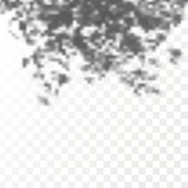 Gölgelerin örtülmesinin etkisi. Şeffaf kareli arka planda gerçekçi tropikal yapraklar ve dallar. Doğal ışık düzeni.