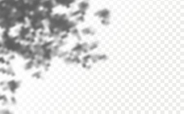 Gölgelerin örtülmesinin etkisi. Şeffaf kareli arka planda gerçekçi tropikal yapraklar ve dallar. Doğal ışık düzeni.