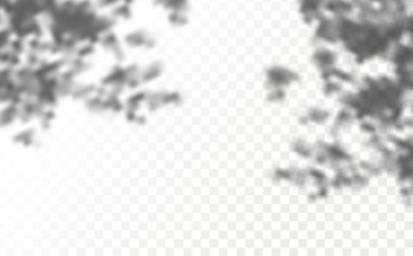 The effect of overlaying shadows. Realistic shadow tropical leaves and branches on transparent checkered background. Natural light layout.