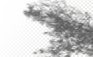 The effect of overlaying shadows. Realistic shadow tropical leaves and branches on transparent checkered background. Natural light layout.