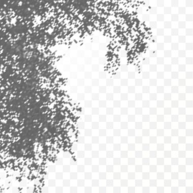 The effect of overlaying shadows. Realistic shadow tropical leaves and branches on transparent checkered background. Natural light layout.