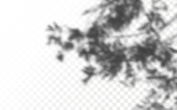 Efekt Překrývání Stínů Realistické Stínové Tropické Listy Větve Průhledném Kostkovaném — Stockový vektor
