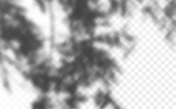 复盖阴影的影响 现实的阴影热带树叶和分枝在透明而交错的背景上 自然光布局 — 图库矢量图片