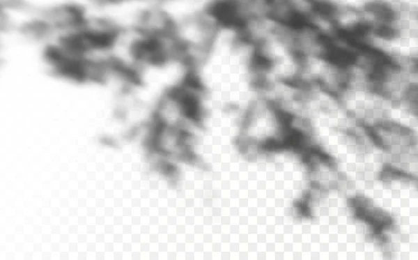 复盖阴影的影响 现实的阴影热带树叶和分枝在透明而交错的背景上 自然光布局 — 图库矢量图片