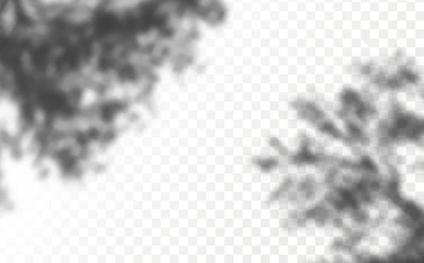 Вплив Накладання Тіней Реалістичне Тіньове Тропічне Листя Гілки Прозорий Картатий — стоковий вектор