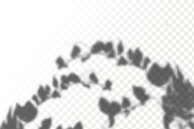 The effect of overlaying shadows. Realistic shadow tropical leaves and branches on transparent checkered background. Natural light layout.