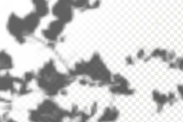 Ефект Накладання Тіней Реалістична Тінь Тропічних Листя Гілок Прозорому Картатому — стоковий вектор