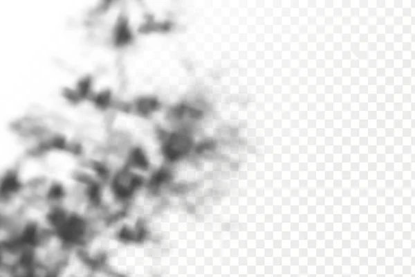 Effet Superposition Ombres Ombre Réaliste Feuilles Tropicales Branches Sur Fond — Image vectorielle