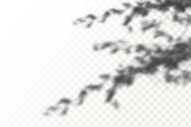 Gölgelerin örtülmesinin etkisi. Şeffaf kareli arka planda gerçekçi tropikal yapraklar ve dallar. Doğal ışık düzeni.