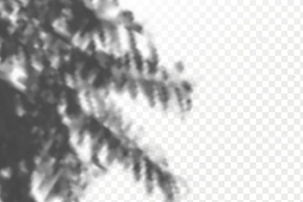 Efekt Překrývání Stínů Realistické Stínové Tropické Listy Větve Průhledném Kostkovaném — Stockový vektor