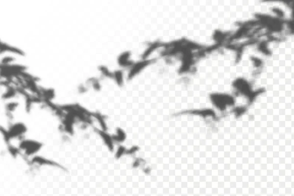 Die Wirkung Der Überlagerung Von Schatten Realistische Schatten Tropischen Blättern — Stockvektor