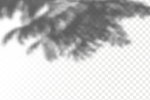 Die Wirkung Der Überlagerung Von Schatten Realistische Schatten Tropischen Blättern — Stockvektor