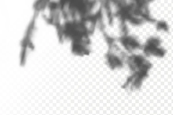 Αποτέλεσμα Της Επικάλυψης Σκιάς Ρεαλιστική Σκιά Τροπικά Φύλλα Και Κλαδιά — Διανυσματικό Αρχείο