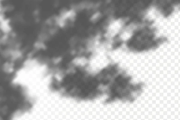 Efecto Superposición Las Sombras Hojas Ramas Tropicales Sombra Realistas Sobre — Archivo Imágenes Vectoriales