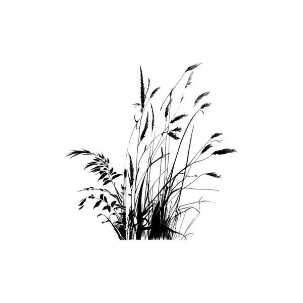 Monokróm Kép Egy Növény Parton Közel Tóhoz Kép Egy Sziluett — Stock Vector