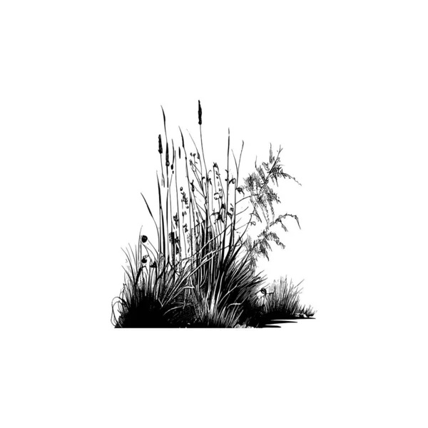 Монохромне Зображення Рослини Березі Біля Ставка Зображення Силуетного Тростини Або — стоковий вектор