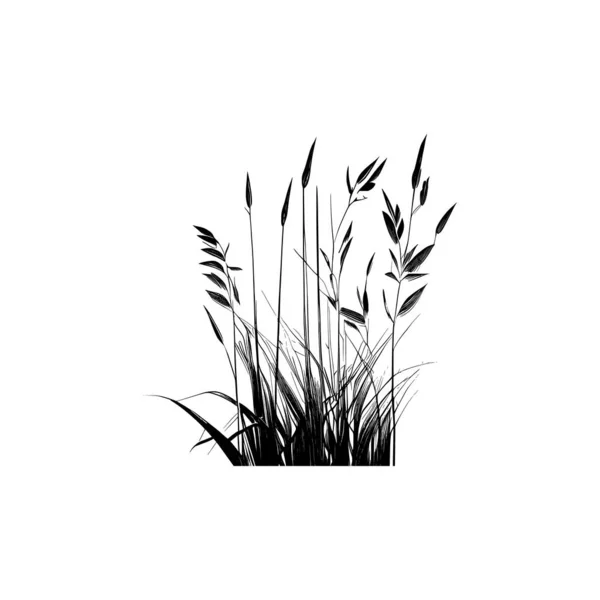 Монохромне Зображення Рослини Березі Біля Ставка Зображення Силуетного Тростини Або — стоковий вектор