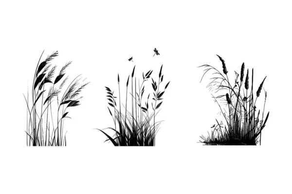 Kıyıdaki bir bitkinin tek renkli görüntüsü. Gölün kenarında bir siluet kamış ya da beyaz arkaplanda bir kabartma görüntüsü..