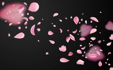 Japon kültürünün sembolü. Kırılgan pembe ve beyaz sakura yaprakları uçuyor..