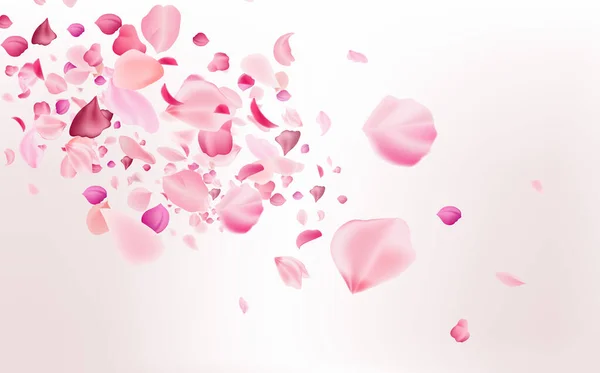 日本文化のシンボルピンクと白の桜の花びらを飛ぶ — ストックベクタ