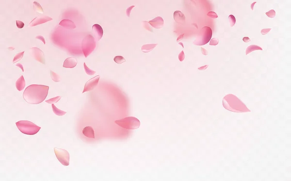 日本文化のシンボルピンクと白の桜の花びらを飛ぶ — ストックベクタ