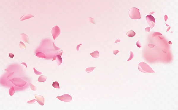 Symbol Der Japanischen Kultur Fliegende Zarte Rosa Und Weiße Sakura — Stockvektor